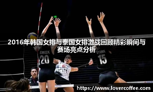 3377体育官网