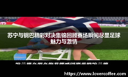 3377体育官网