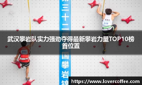 武汉攀岩队实力强劲夺得最新攀岩力量TOP10榜首位置